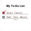 My To-Do List